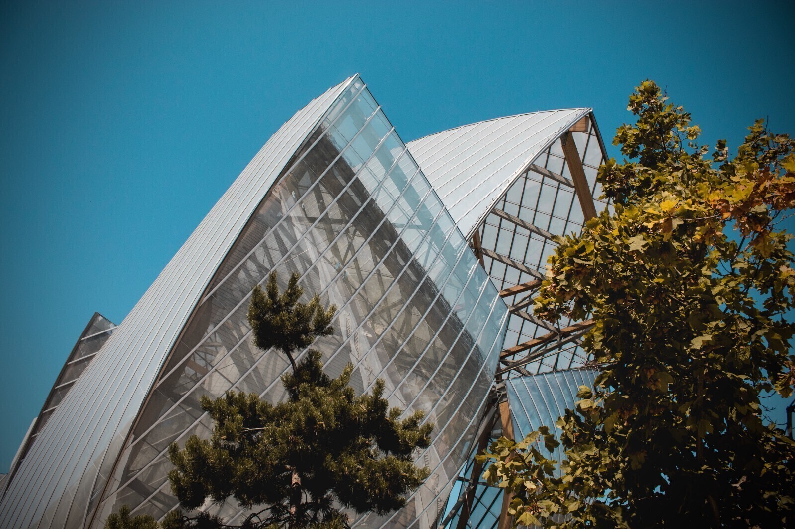 Fondation Louis Vuitton